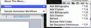 Zotero Extension for Word